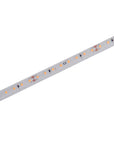 IP65 5w/m 24V SAUNA LED Strip - high temperature installations