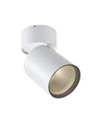 Rollo Surface Spotlight