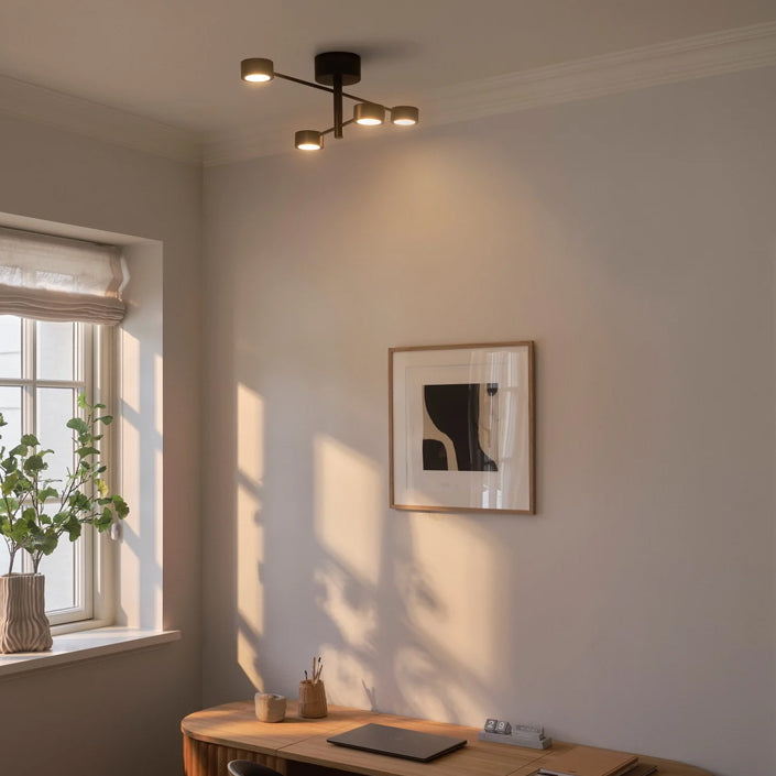 Living Room Ceiling