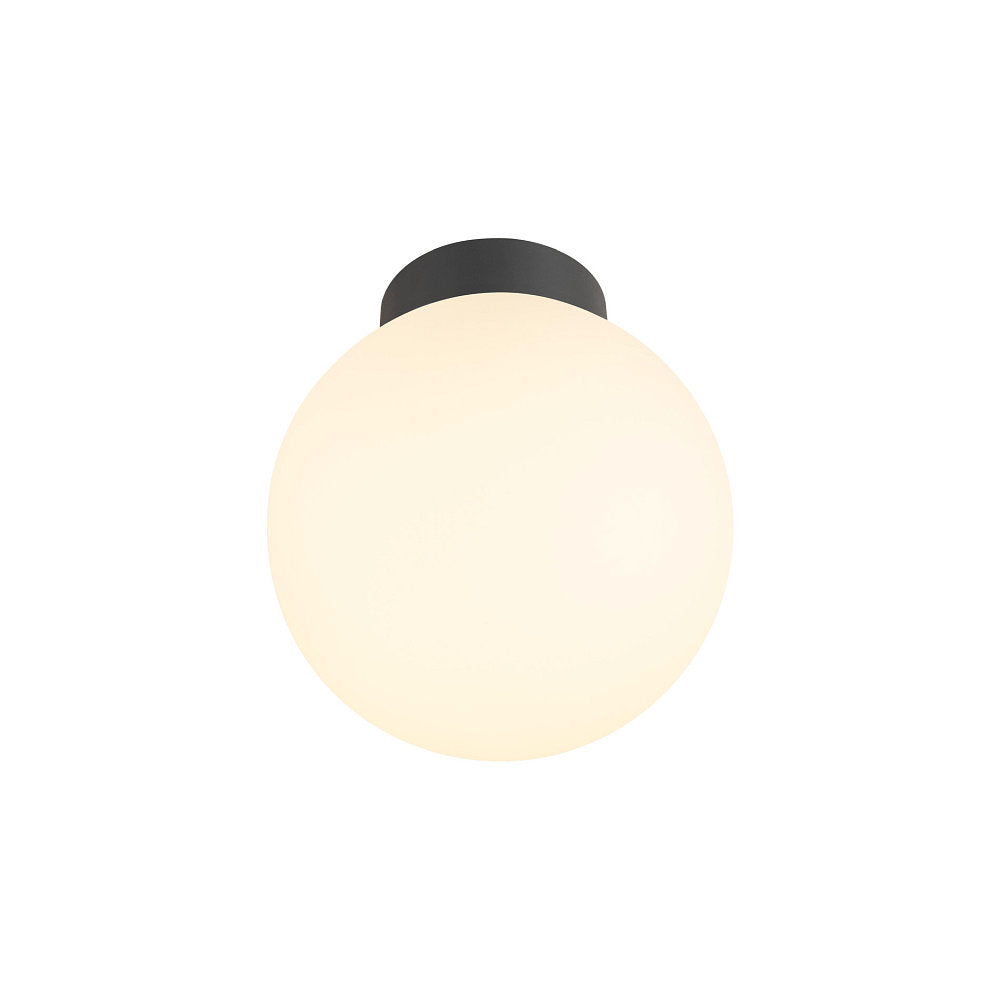 Sun 20