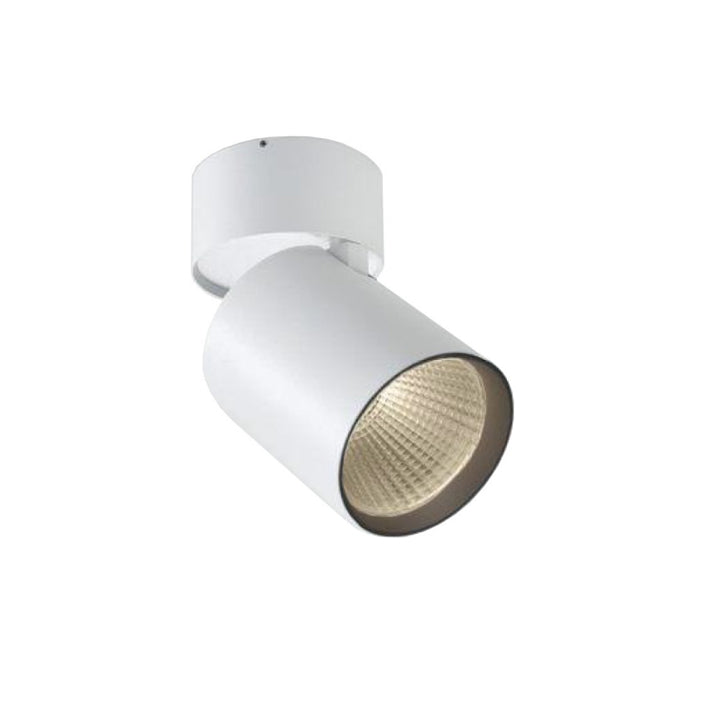 Rollo Surface Spotlight