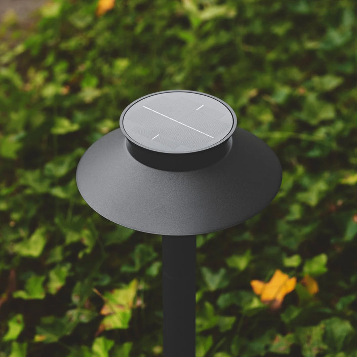 Justina Bollard
