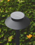 Justina Bollard