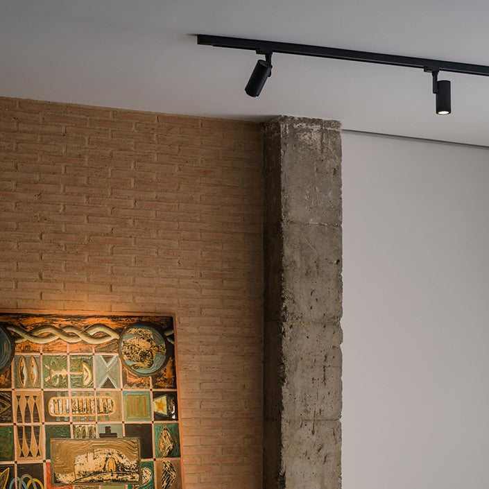 230v Track Surface Mount