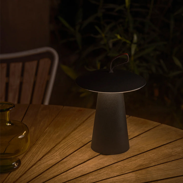 Ara Portable & Rechargable