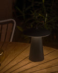 Ara Portable & Rechargable